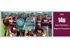 Support Torrance 14U All Stars' World Series Journey