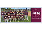 Support Torrance All Stars' World Series Journey